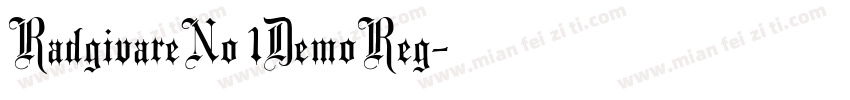 RadgivareNo 1DemoReg字体转换